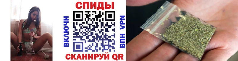 блэк спрут зеркало  Зеленогорск  Бутират BDO 33% 