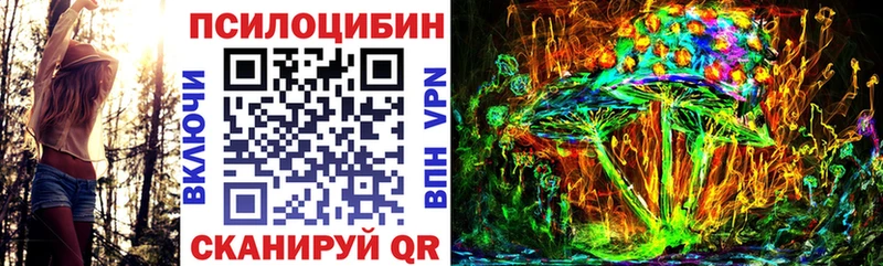 хочу   Зеленогорск  блэк спрут сайт  Псилоцибиновые грибы Magic Shrooms 